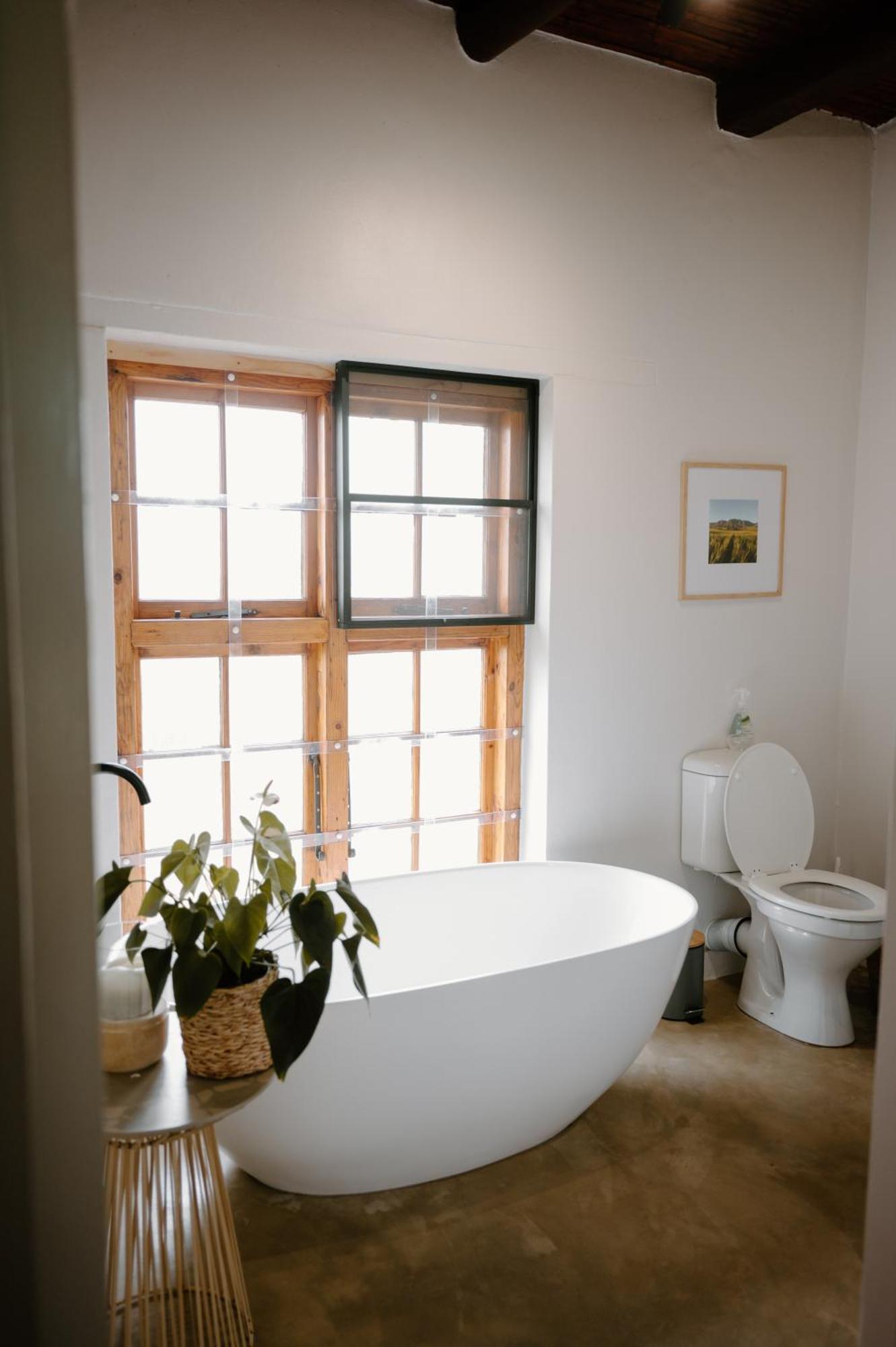 בוניווייל Melkhout Farm Cottage מראה חיצוני תמונה